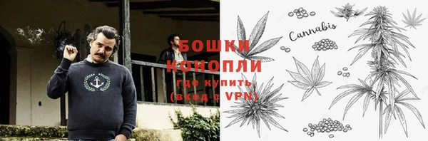 СК Горнозаводск