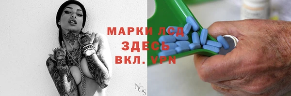 СК Горнозаводск