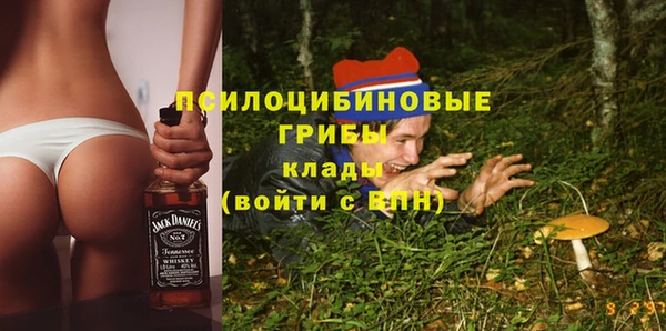 СК Горнозаводск