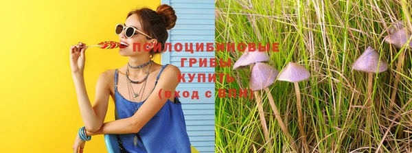 хмурый Горно-Алтайск