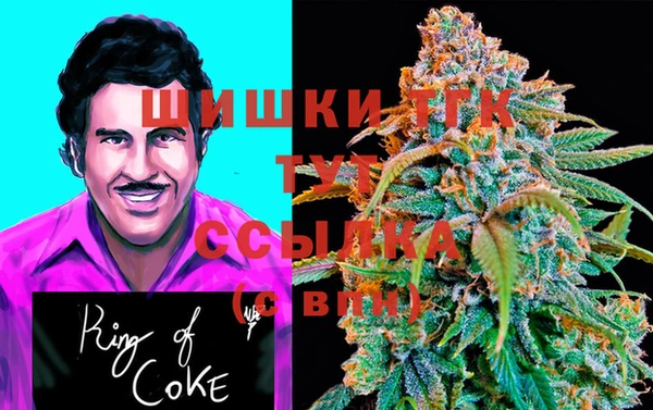 хмурый Горно-Алтайск