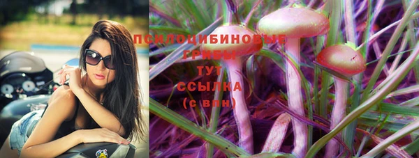 СК Горнозаводск