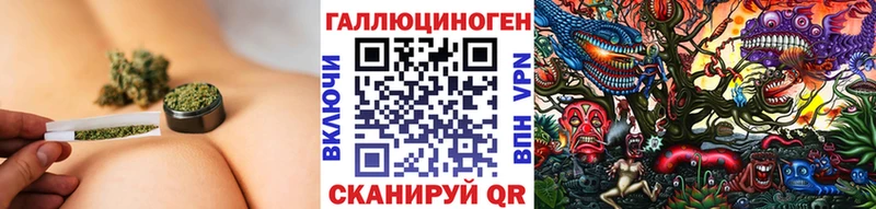 Купить  Новоалтайск  Псилоцибиновые грибы Cubensis 